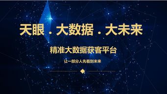 精準營銷大數(shù)據(jù)PM 定義、效果評估與合作模式全解析